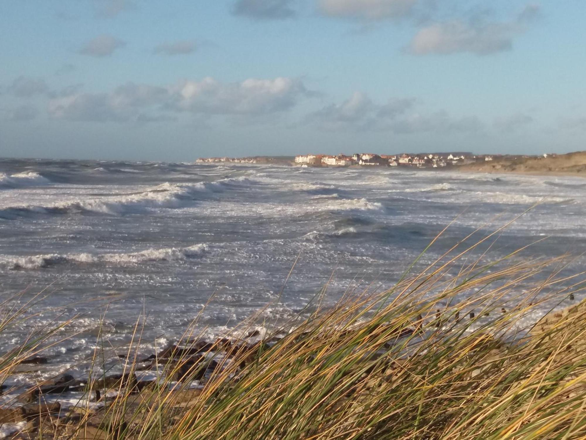 Thalassa Audresselles Luaran gambar