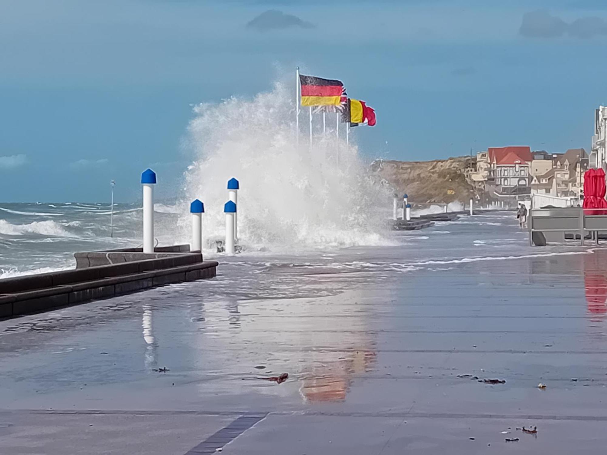 Thalassa Audresselles Luaran gambar